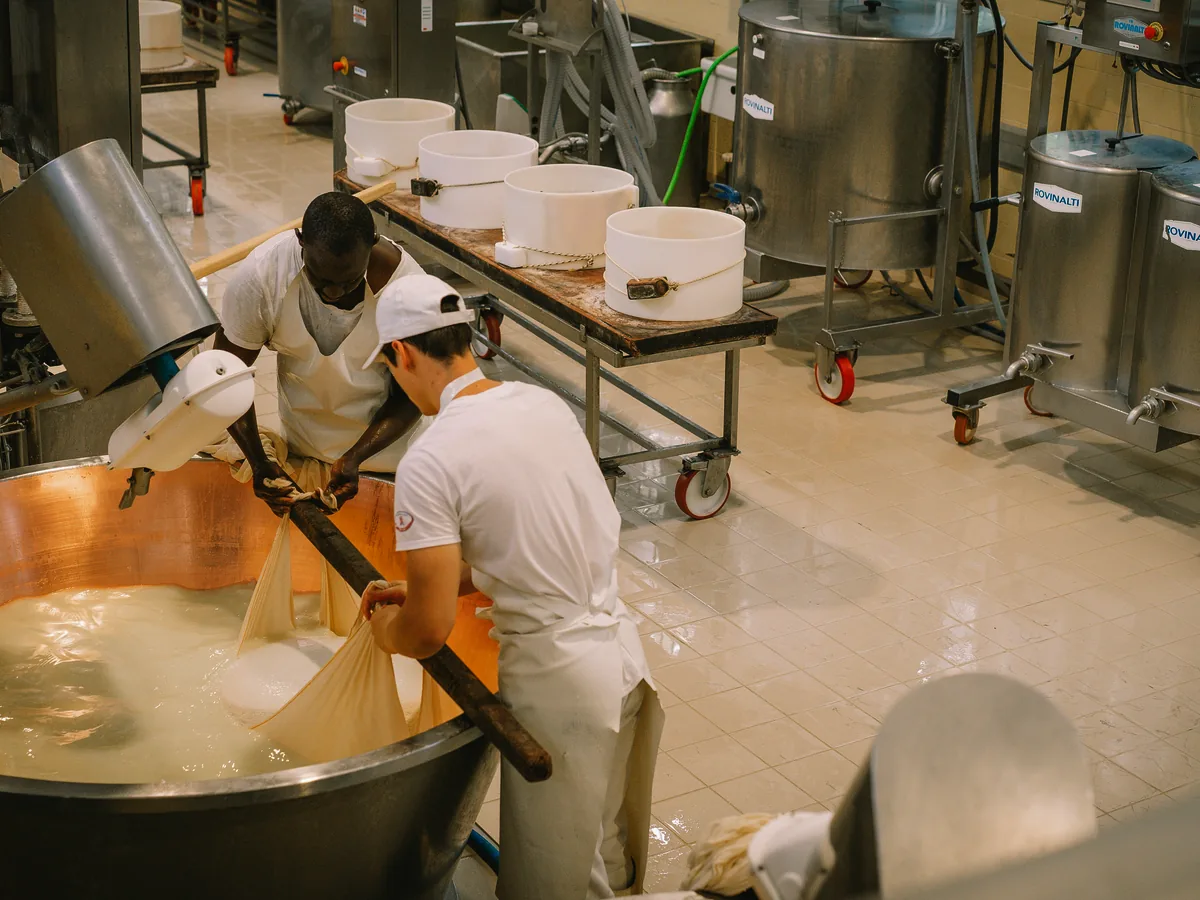 Operators working on a stainless steel food production line